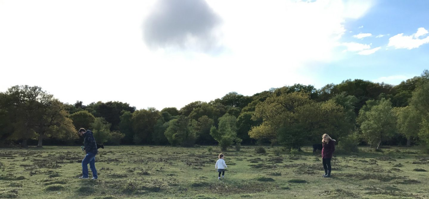 Camping in the New Forest