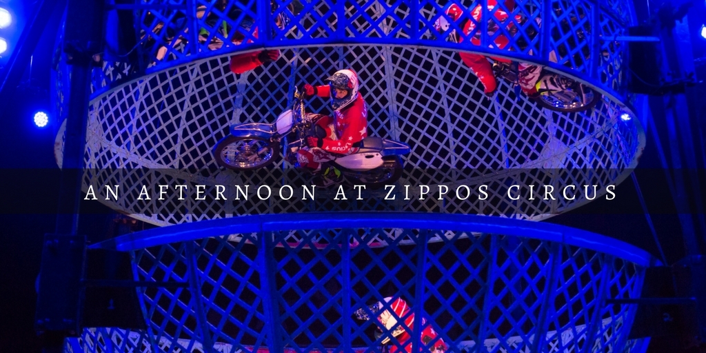 Zippos Circus Brighton Review