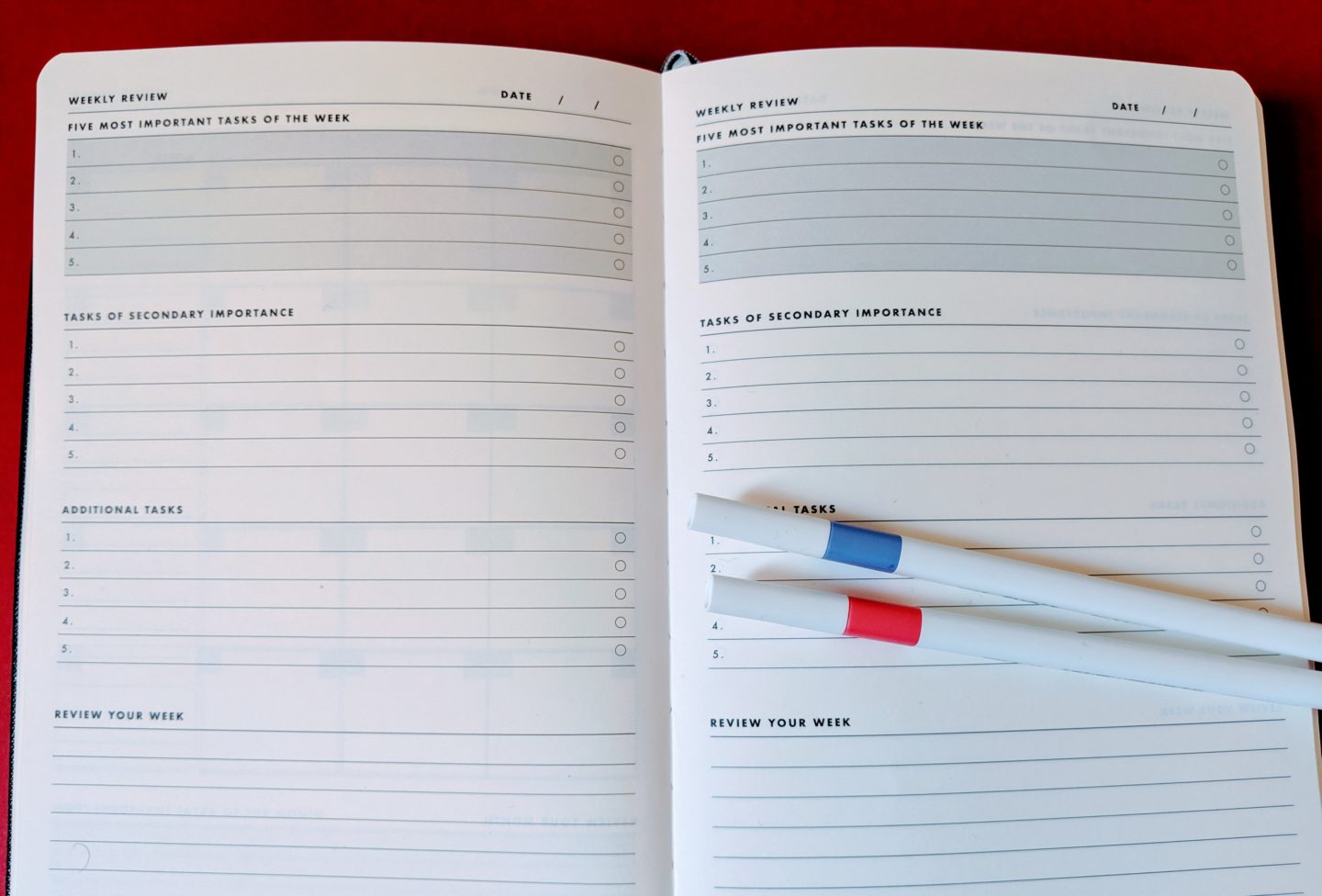 inside of goal setter showing 2 pages. Lined with text