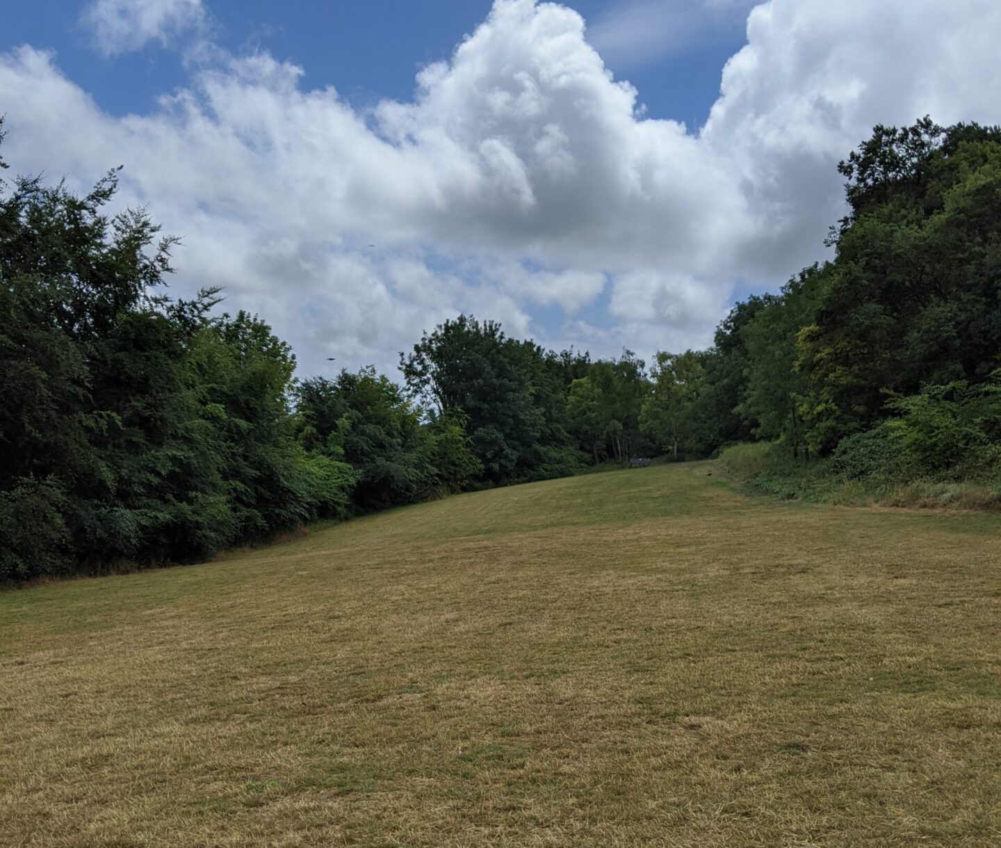 green grass area surrounded by trees white clouds and blue sky