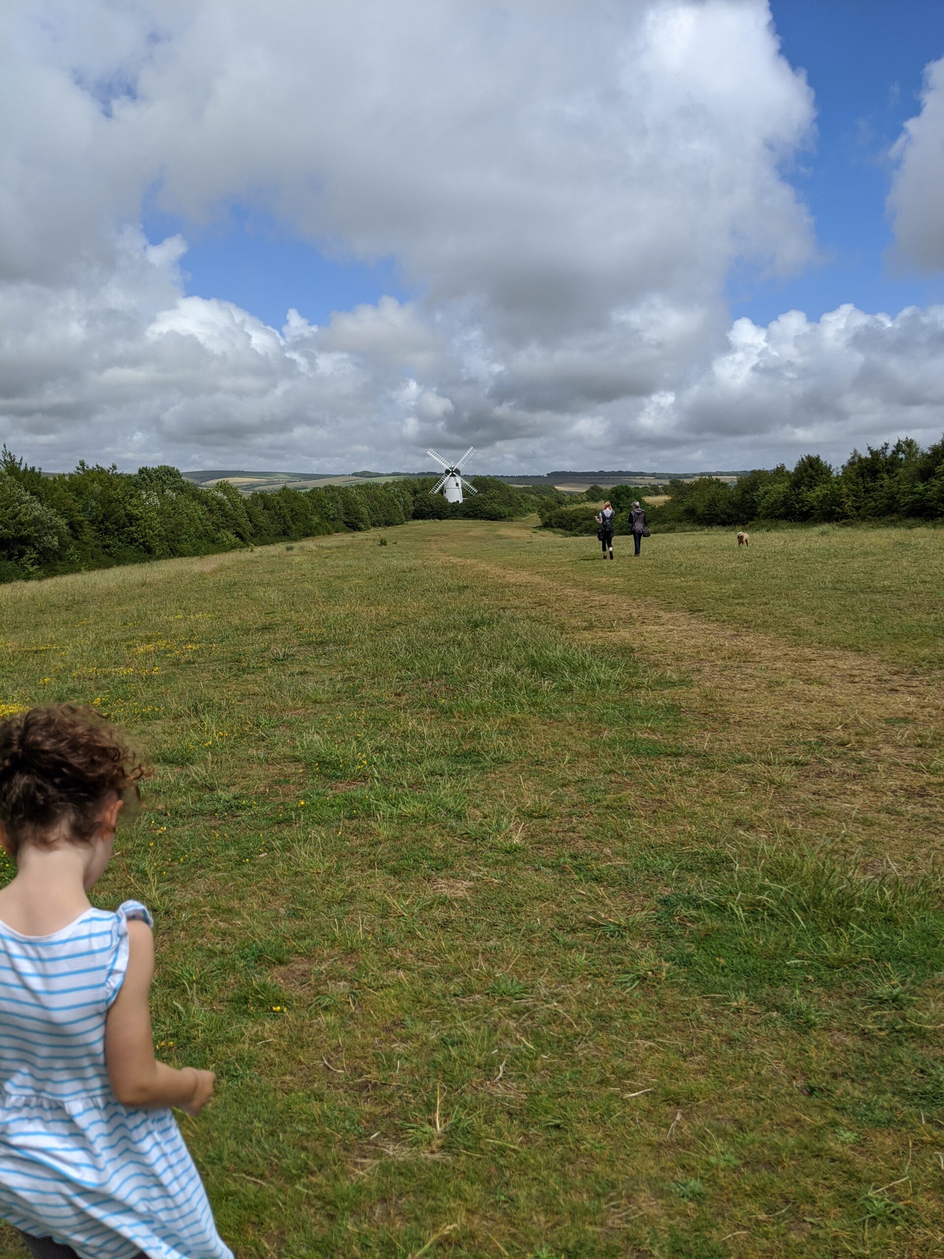 Green spaces in Brighton & Hove - Snapshots & Adventures